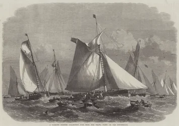 A Barking Carrier Collecting Fish from the Trawl Fleet on the Doggerbank